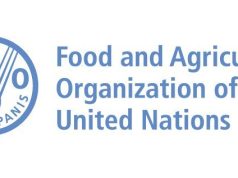 UN FAO Internship Programme for Africa (RAF) 2026 un-fao-internship-programme-for-africa-(raf)-2026