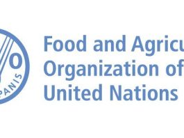 UN FAO Internship Programme for Africa (RAF) 2026 un-fao-internship-programme-for-africa-(raf)-2026