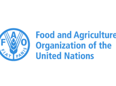 FAO Regular Volunteer Programme 2026–2027: United Nations Volunteer Opportunities in Rome fao-regular-volunteer-programme-2026–2027:-united-nations-volunteer-opportunities-in-rome