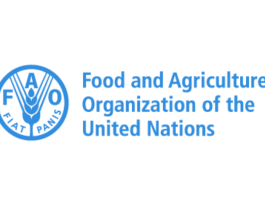 FAO Regular Volunteer Programme 2026–2027: United Nations Volunteer Opportunities in Rome fao-regular-volunteer-programme-2026–2027:-united-nations-volunteer-opportunities-in-rome