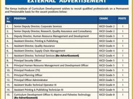 KICD Jobs 2026: Apply for 17 Permanent and Pensionable Vacancies in Kenya kicd-jobs-2026:-apply-for-17-permanent-and-pensionable-vacancies-in-kenya