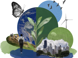 demographics-&-planetary-health-story-prize-2026