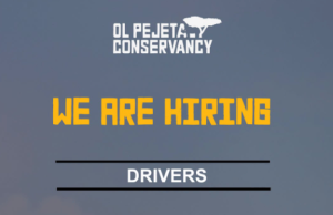 Ol Pejeta Conservancy Driver Job Opportunity in Kenya 2026 ol-pejeta-conservancy-driver-job-opportunity-in-kenya-2026