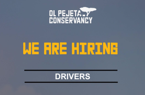 ol-pejeta-conservancy-driver-job-opportunity-in-kenya-2026 ol-pejeta-conservancy-driver-job-opportunity-in-kenya-2026