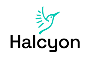 Halcyon Accelerator 2026/2027 for Impact-Driven Startups halcyon-accelerator-2026/2027-for-impact-driven-startups