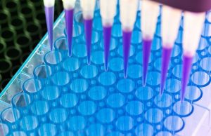 Rare Disease Reporting Fellowship and Grants 2026 (up to $2,000) rare-disease-reporting-fellowship-and-grants-2026-(up-to-$2,000)