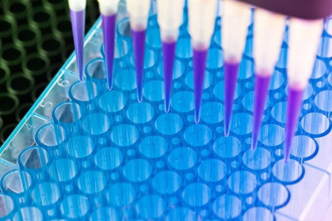 rare-disease-reporting-fellowship-and-grants-2026-(up-to-$2,000)
