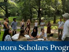 Mentora Scholars Fellowship 2027 (Fully-funded) mentora-scholars-fellowship-2027-(fully-funded)