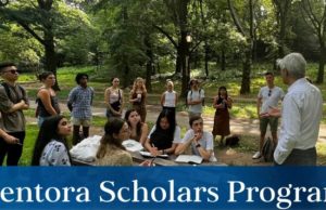 Mentora Scholars Fellowship 2027 (Fully-funded) mentora-scholars-fellowship-2027-(fully-funded)