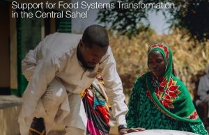 IFAD Food Systems Transformation Grant 2026: US$2 Million Funding Opportunity for the Central Sahel ifad-food-systems-transformation-grant-2026:-us$2-million-funding-opportunity-for-the-central-sahel