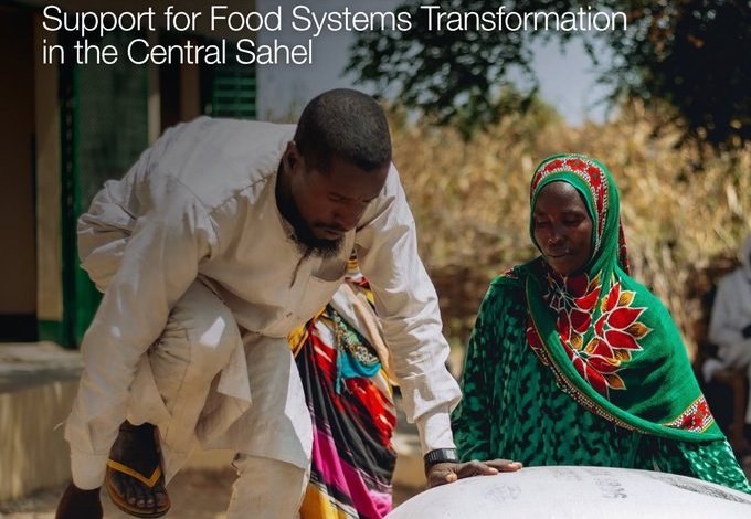 ifad-food-systems-transformation-grant-2026:-us$2-million-funding-opportunity-for-the-central-sahel ifad-food-systems-transformation-grant-2026:-us$2-million-funding-opportunity-for-the-central-sahel