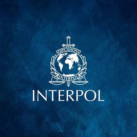 interpol-gors–mna-desk-internship-2026-in-lyon,-france-(paid-international-internship) interpol-gors–mna-desk-internship-2026-in-lyon,-france-(paid-international-internship)