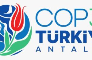 Call for Applications: AYFICE COP31 Youth Delegate Program 2026 call-for-applications:-ayfice-cop31-youth-delegate-program-2026