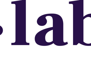 YLabs is Seeking a Remote Knowledge and Communications Lead 2026 ylabs-is-seeking-a-remote-knowledge-and-communications-lead-2026