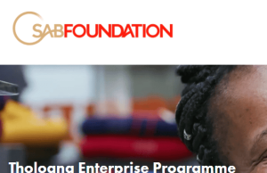 SAB Foundation Tholoana Enterprise Programme 2026 sab-foundation-tholoana-enterprise-programme-2026