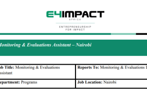 Monitoring & Evaluations Assistant Needed at E4Impact Africa Foundation in Nairobi monitoring-&-evaluations-assistant-needed-at-e4impact-africa-foundation-in-nairobi