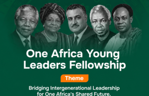 The African Leadership Initiatives for Impact (ALII) Invites Applications for the One Africa Young Leaders Fellowship 2026 the-african-leadership-initiatives-for-impact-(alii)-invites-applications-for-the-one-africa-young-leaders-fellowship-2026