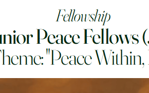 Junior Peace Fellows (JPF) 2027: Peacebuilding, Development and Humanitarian Fellowship for Emerging Professionals junior-peace-fellows-(jpf)-2027:-peacebuilding,-development-and-humanitarian-fellowship-for-emerging-professionals