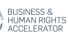 UN Global Compact Business & Human Rights Accelerator 2027 un-global-compact-business-&-human-rights-accelerator-2027