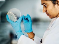 Novo Nordisk Foundation Postdoctoral Fellowships at Massachusetts Institute of Technology 2027 (Funded) novo-nordisk-foundation-postdoctoral-fellowships-at-massachusetts-institute-of-technology-2027-(funded)