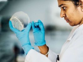 novo-nordisk-foundation-postdoctoral-fellowships-at-massachusetts-institute-of-technology-2027-(funded)