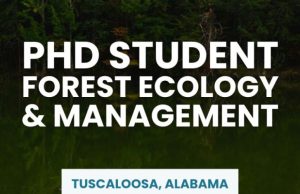 Exciting Opportunity: Fully Funded PhD in Forest Ecology at the University of Alabama, USA: $2,957 Monthly Stipend and Tuition Waiver exciting-opportunity:-fully-funded-phd-in-forest-ecology-at-the-university-of-alabama,-usa:-$2,957-monthly-stipend-and-tuition-waiver