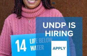 UNDP Project Officer Job 2026 in Kenya – Apply for NPSA-8 Position in Nairobi undp-project-officer-job-2026-in-kenya-–-apply-for-npsa-8-position-in-nairobi