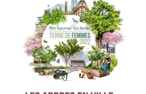 Yves Rocher Foundation Terre de Femmes International Award 2027: €10,000 Grant for Women-Led Urban Tree Projects yves-rocher-foundation-terre-de-femmes-international-award-2027:-e10,000-grant-for-women-led-urban-tree-projects
