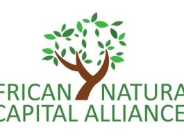african-natural-capital-alliance-nature-executive-fellowship-2027:-applications-open-for-african-nature-finance-leaders