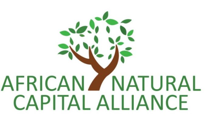 african-natural-capital-alliance-nature-executive-fellowship-2027:-applications-open-for-african-nature-finance-leaders