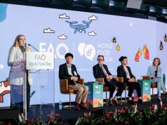 World Food Forum (WFF) Young Scientists Group 2027-2029 world-food-forum-(wff)-young-scientists-group-2027-2029