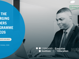 Call for Applications: Emerging Leaders Programme 2026–2027 call-for-applications:-emerging-leaders-programme-2026–2027