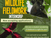Rescate Wildlife Rescue Center Conservation Internship Opportunity: Gain Hands-On Experience with Endangered Animals rescate-wildlife-rescue-center-conservation-internship-opportunity:-gain-hands-on-experience-with-endangered-animals
