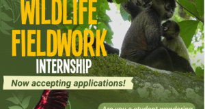 Rescate Wildlife Rescue Center Conservation Internship Opportunity: Gain Hands-On Experience with Endangered Animals rescate-wildlife-rescue-center-conservation-internship-opportunity:-gain-hands-on-experience-with-endangered-animals