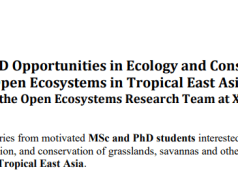 MSc and PhD Opportunities in Ecology and Conservation at XTBG, China – 2027 Intake msc-and-phd-opportunities-in-ecology-and-conservation-at-xtbg,-china-–-2027-intake
