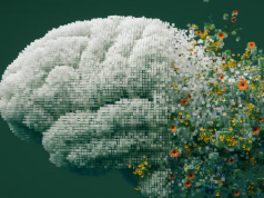 AIRC Non-Resident Research Fellowship in AI and Social Sciences 2027 airc-non-resident-research-fellowship-in-ai-and-social-sciences-2027