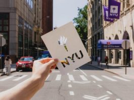 nyu-faculty-fellow-appointment-in-data-science-2027:-earn-$101,766-per-year-in-the-united-states