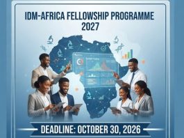 idm-africa-fellowship-programme-2027