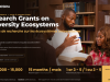 CODESRIA Research Grants on University Ecosystems 2027 codesria-research-grants-on-university-ecosystems-2027